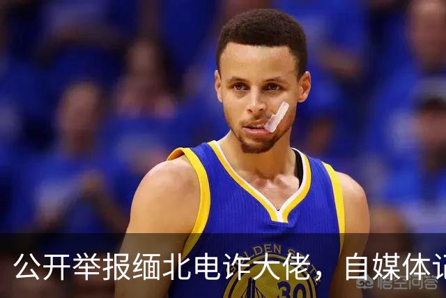 公开举报缅北电诈大佬，自媒体记者被从国内买凶绑架，折磨致死！