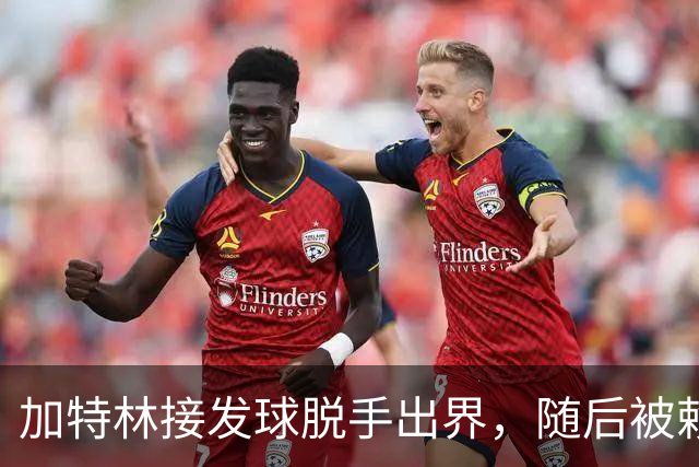加特林接发球脱手出界，随后被赖俊豪击中面部倒地不起