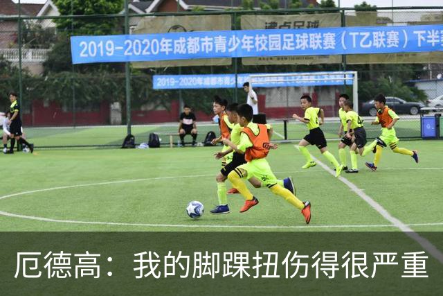 厄德高：我的脚踝扭伤得很严重