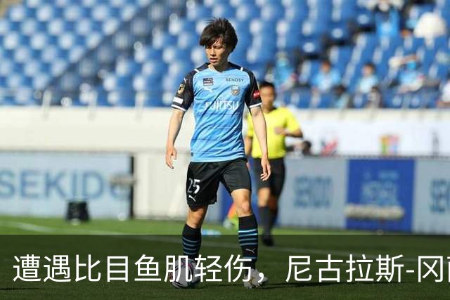 遭遇比目鱼肌轻伤，尼古拉斯-冈萨雷斯社媒表态要强势回归