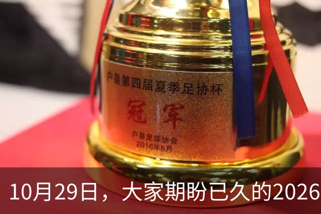 10月29日，大家期盼已久的2026退休养老金，究竟涨还是不涨？